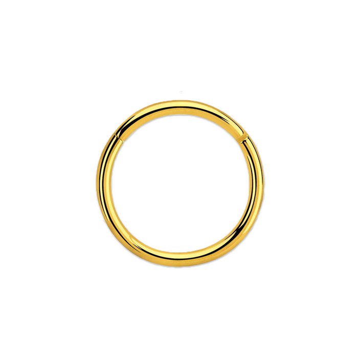 16g Gold PVD Plated Surgical Steel Hinged Ring 6mm / Surgical Steel / Gold Hinged Ring
