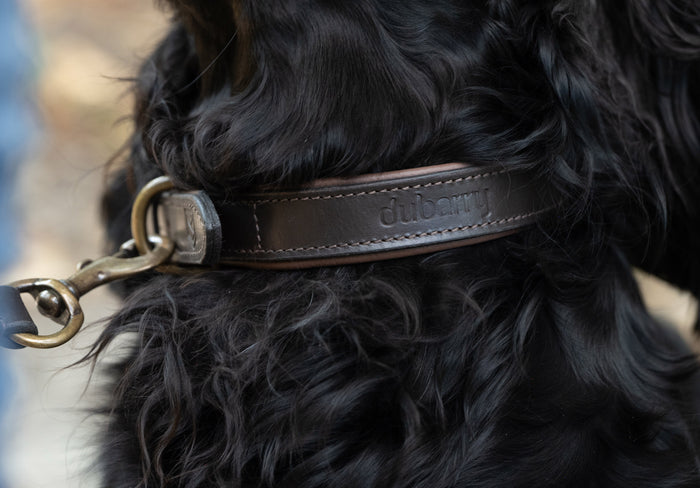 Axel Padded Leather dog collar - Mahogany