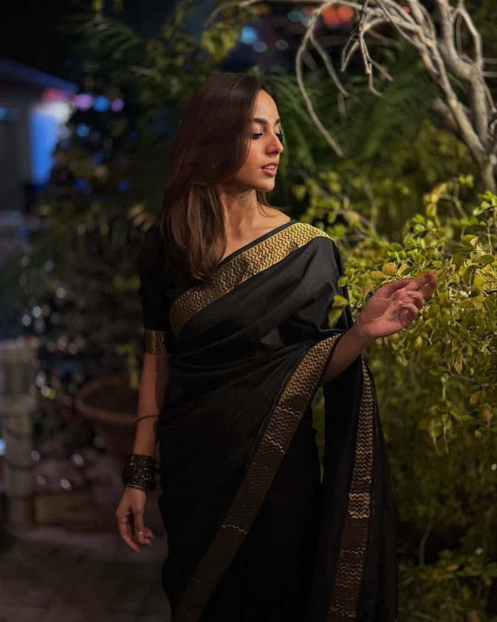 Handloom Silk: Noorani