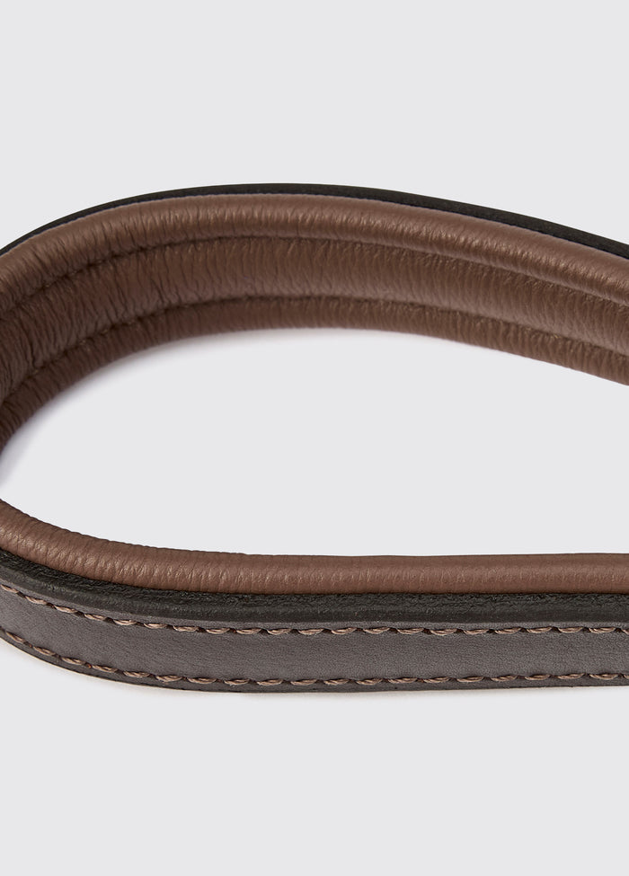 Riley 5ft Leather slip lead - Mahogany