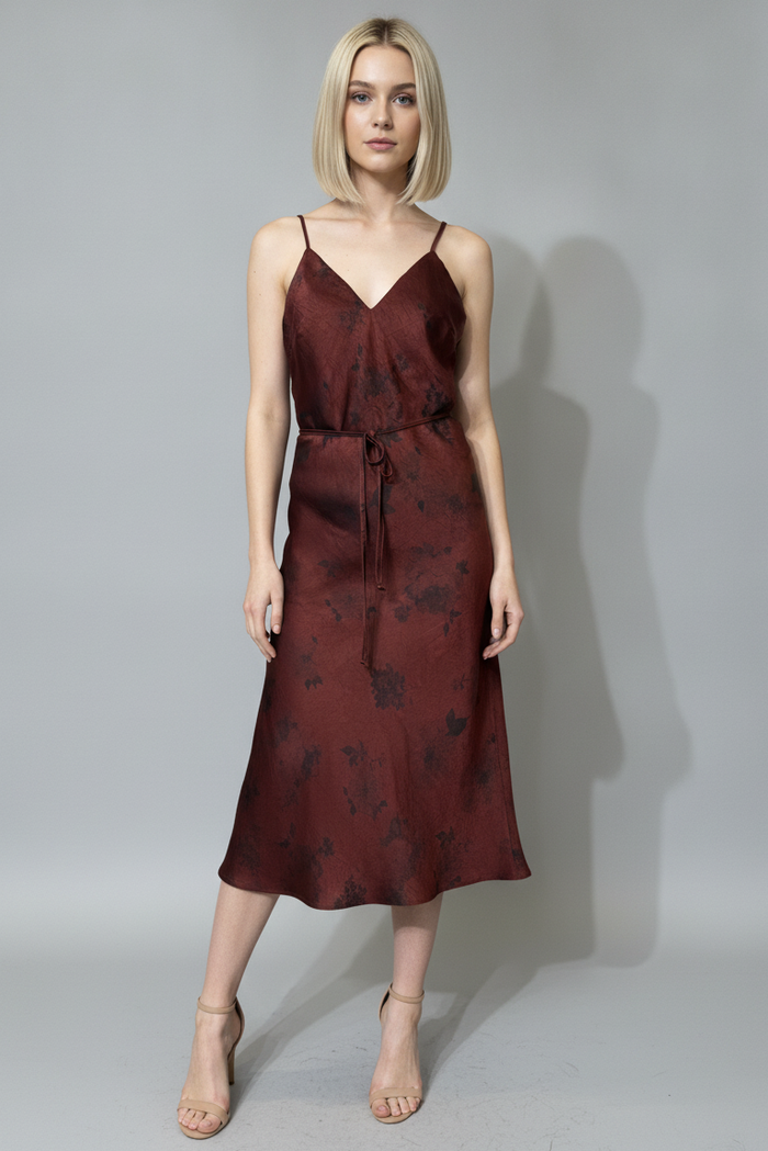 Tie Waist Printed Satin Dress