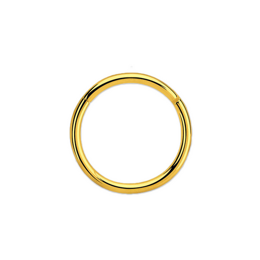 16g Gold PVD Plated Surgical Steel Hinged Ring 6mm / Surgical Steel / Gold Hinged Ring