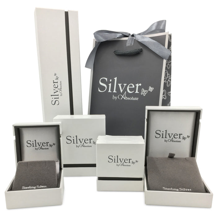 Absolute Silver Earrings SE403EM