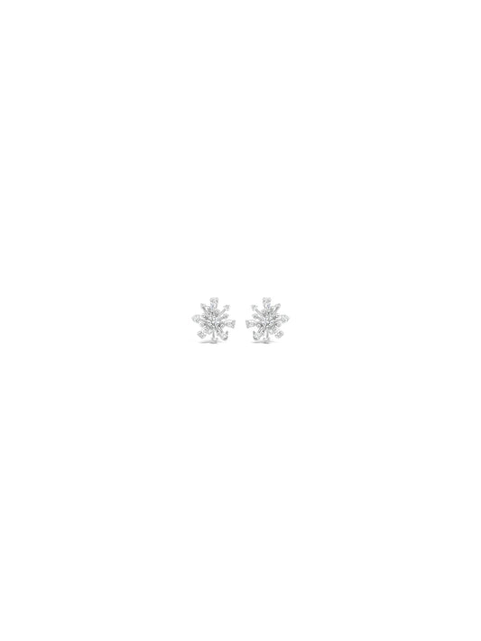 Absolute Silver Earrings SE420SL