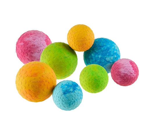 Wolters Dog Fun Ball - mint mango raspberry
