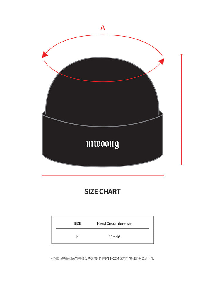 Basic logo beanie