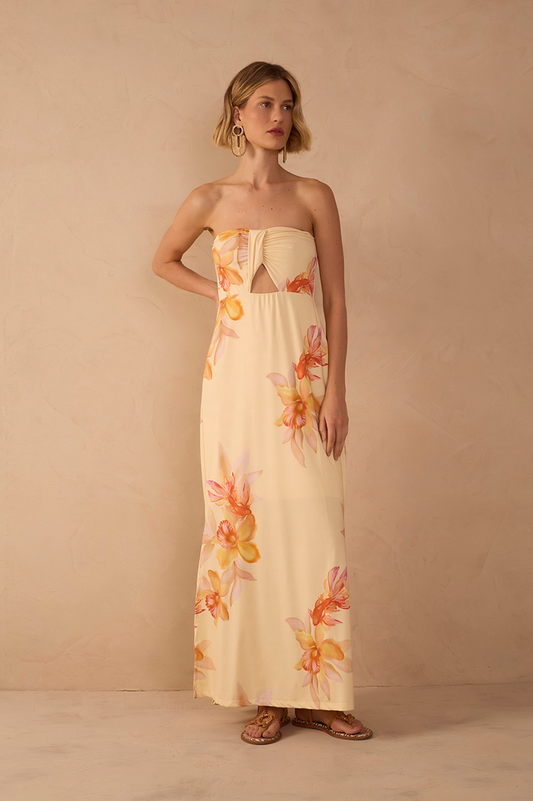 Beta Print Jersey Dress_1