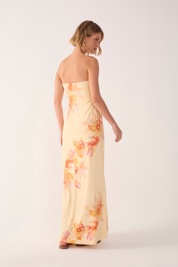 Beta Print Jersey Dress
