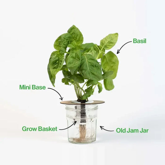 Bottle Farm Mini Kit