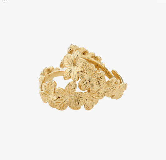 Charmaine Rings 2-in-1 set-Gold/Silver