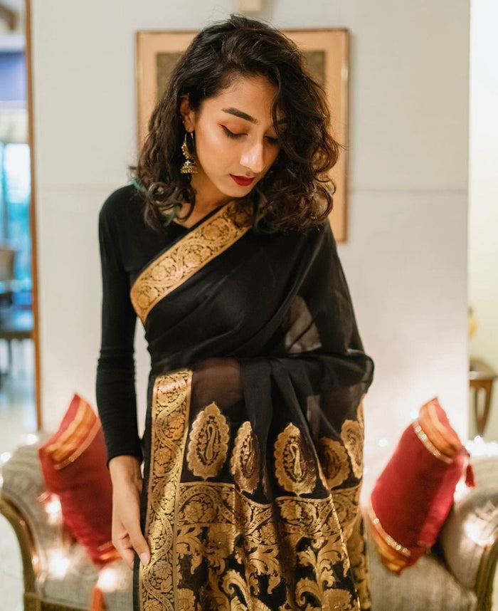 Chiffon Silk Banarsi - Anoosh