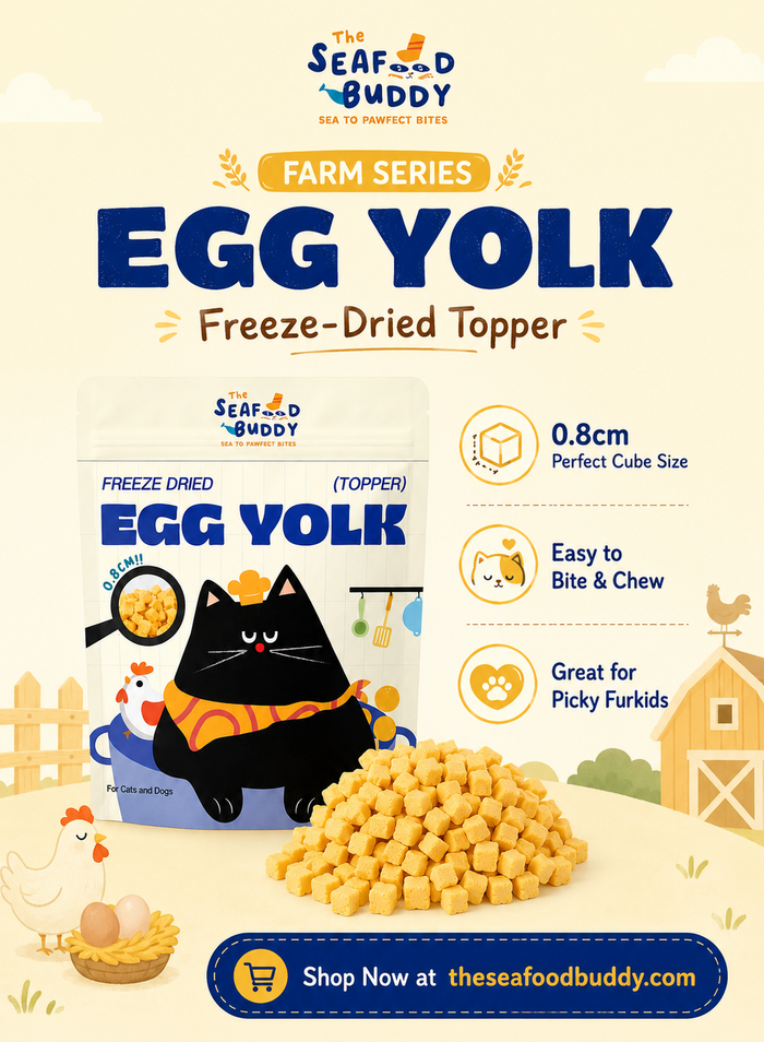 Egg Yolk 0.8cm - Perfect Bite Size For Cats & Dogs  [Small & Senior Pets]
