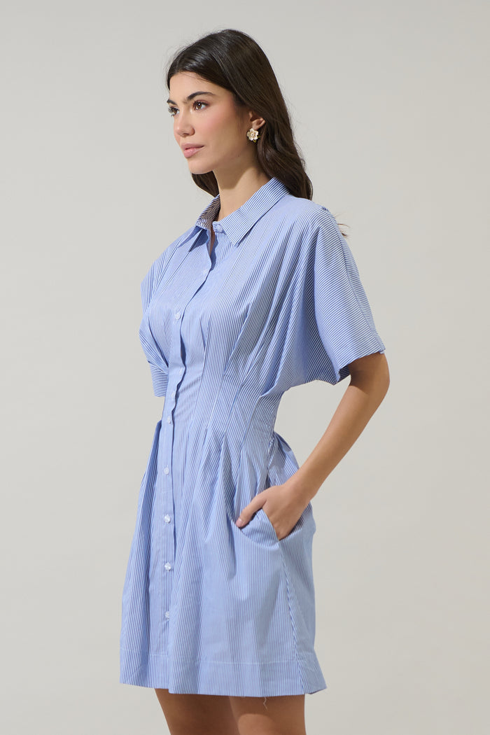 Fannie Striped Kristy Collared Mini Dress