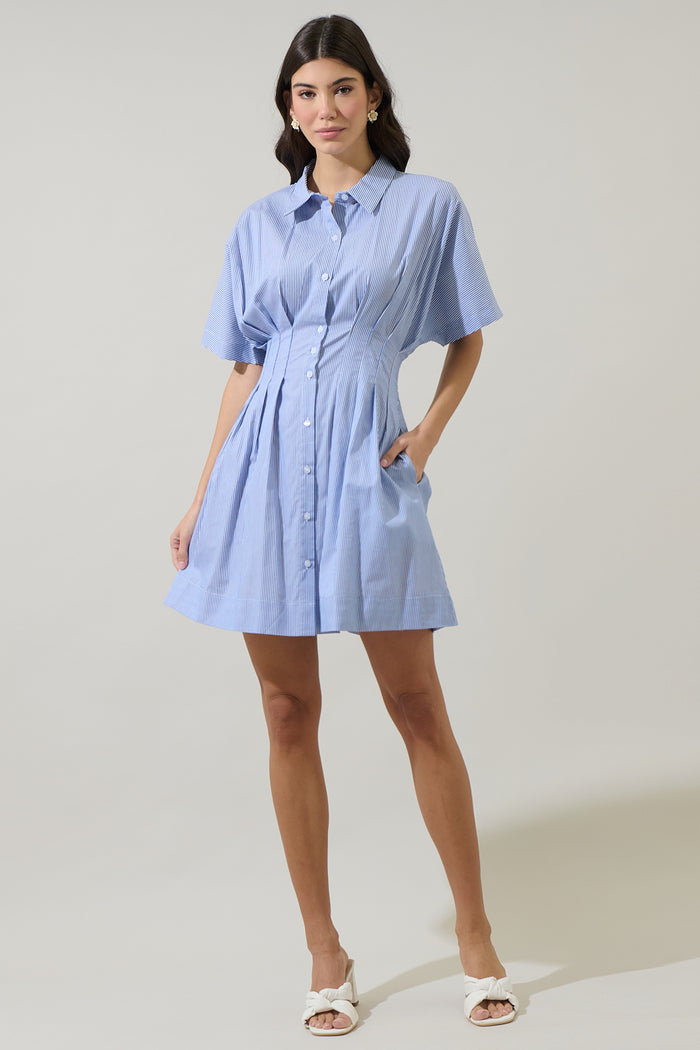 Fannie Striped Kristy Collared Mini Dress