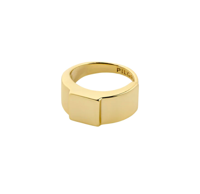 Friends Ring