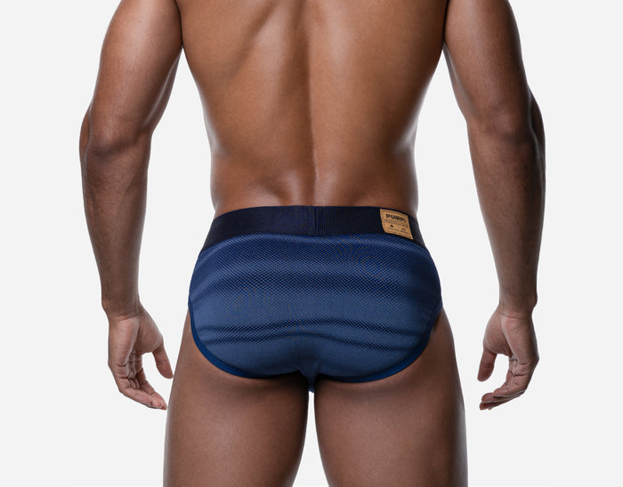 INDIGO BLUE BRIEF