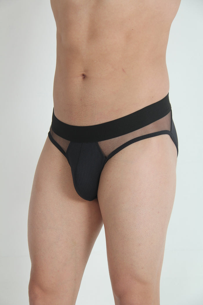 MESH PANEL BRIEFS