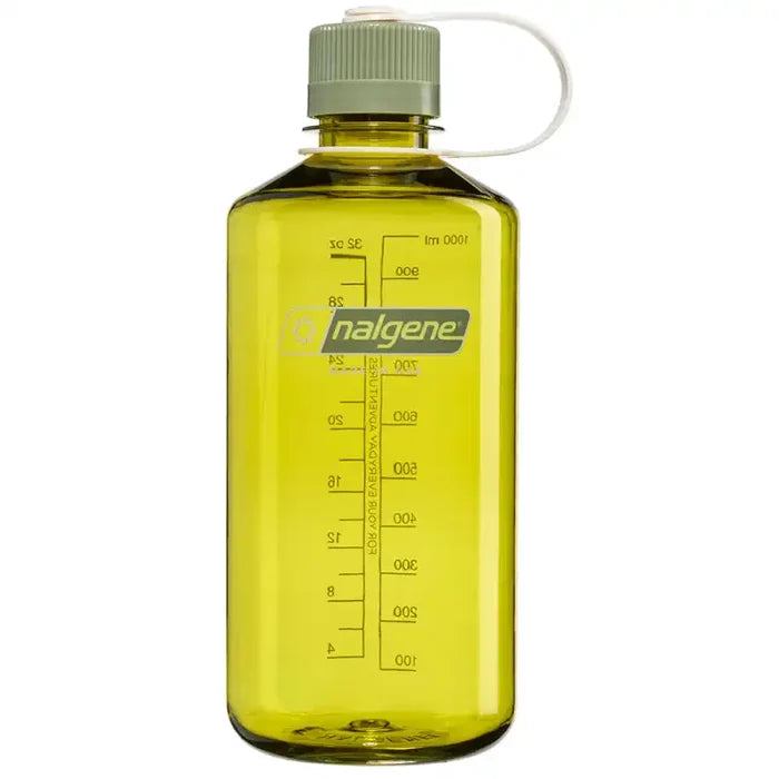 Endive-Oil