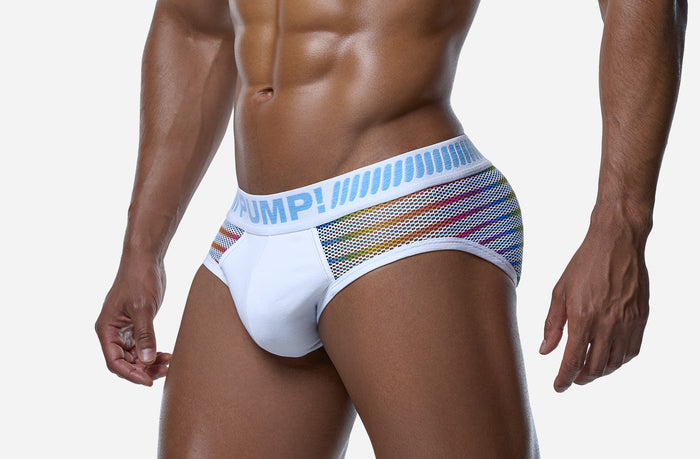 PRISM BRIEF