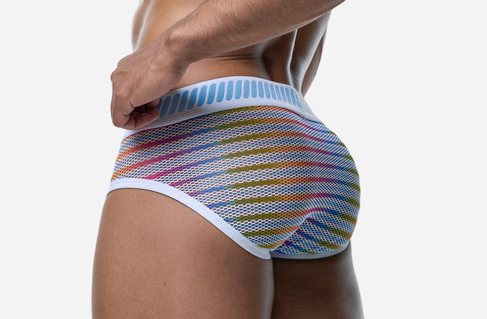 PRISM BRIEF