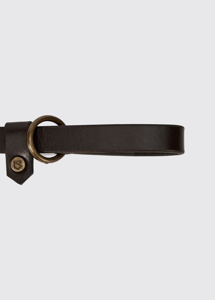 Riley 5ft Leather slip lead - Mahogany