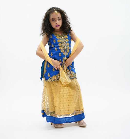 Silk Embroidered Light Cobalt Blue Kids Lehenga Set