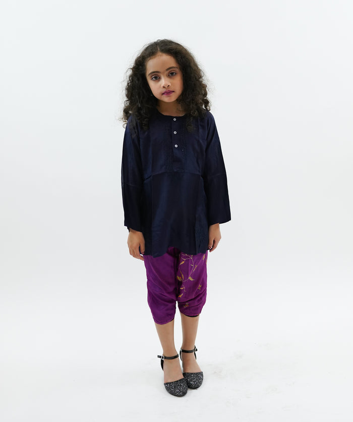 Silk Oxford Blue Embroidered Kurti / Tunic