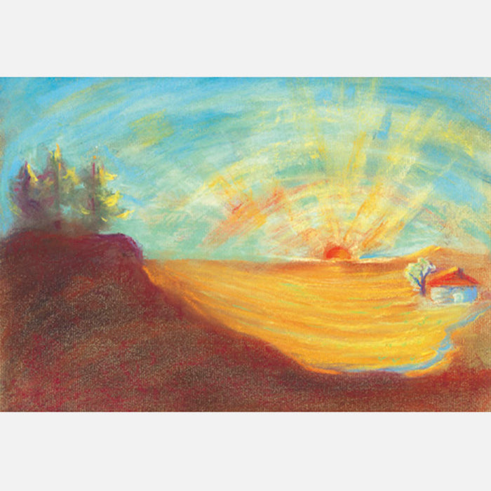 The Harvest Story