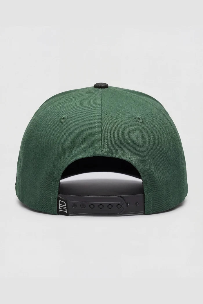 The North Snapback Hats - Back