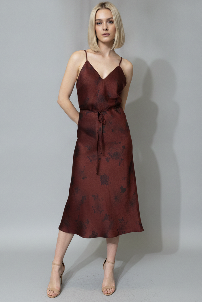 Tie Waist Printed Satin Dress