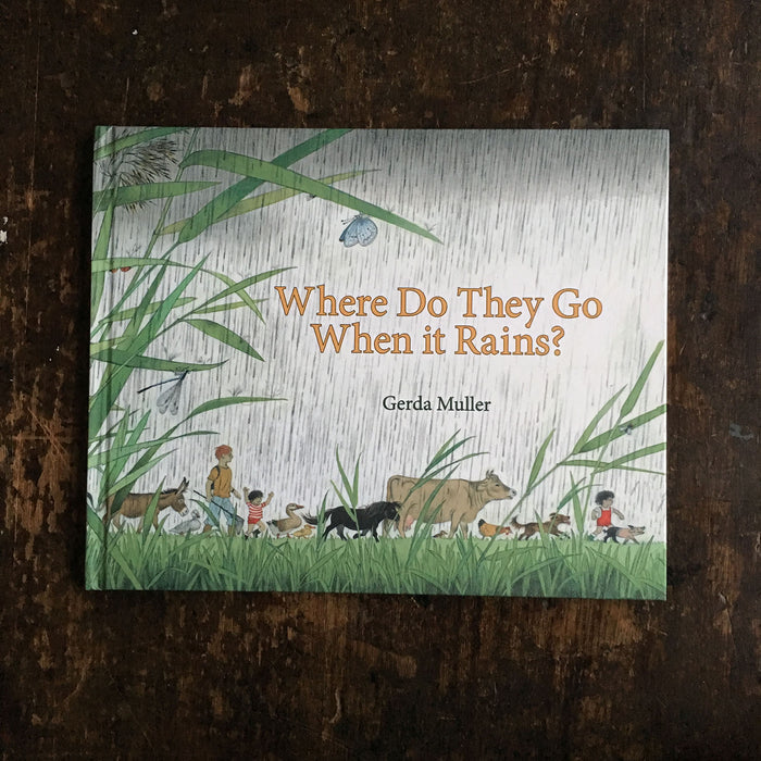 Where Do They Go When It Rains?